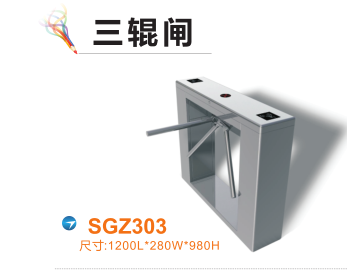 宁阳县三辊闸四号